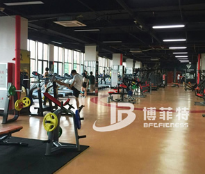 广州客户健身俱乐部 粉色视频APP高清免费下载大全客户健身房案例图片展示