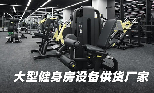 大型健身房设备供货粉色视频APP污下载