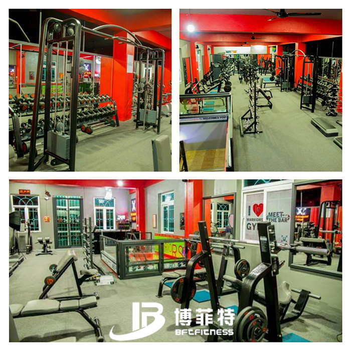 粉色视频APP高清免费下载大全案例 毛里求斯客户的健身房图片
