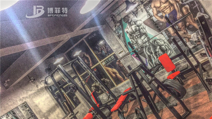 伊拉克客户的健身房图片 粉色视频APP高清免费下载大全健身器材案例