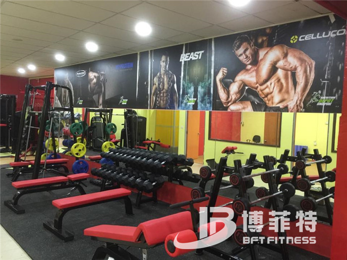 粉色视频APP高清免费下载大全客户健身器械