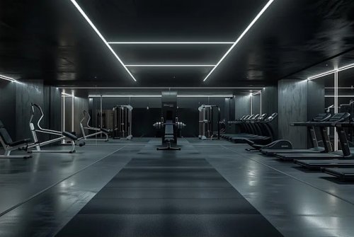 健身器材出口型粉色视频APP污下载：引领全球健康风尚的制造力量