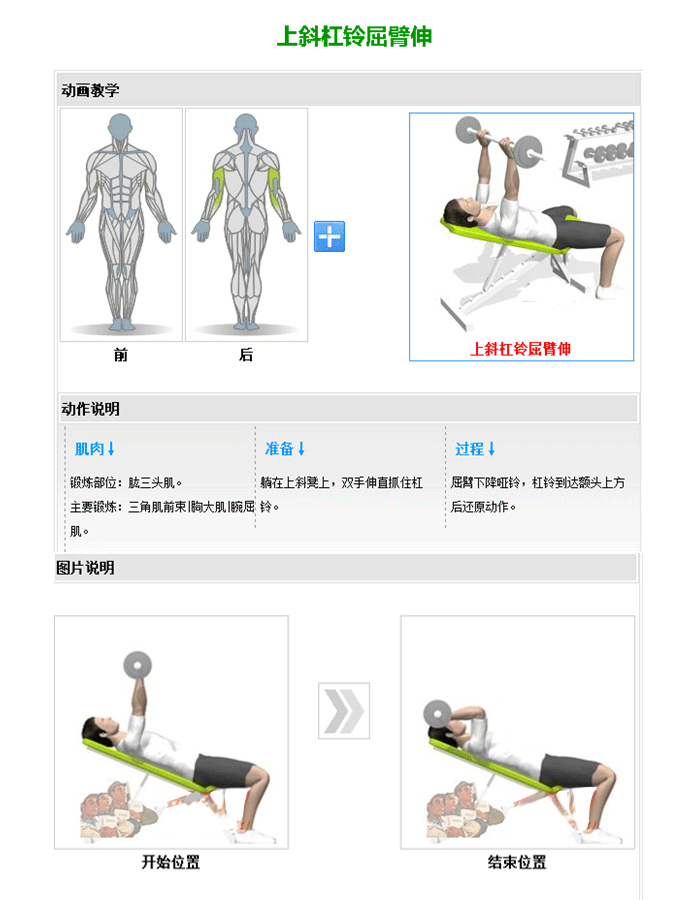可调哑铃训练椅 推举哑铃训练器 粉色视频APP高清免费下载大全室内健身器材